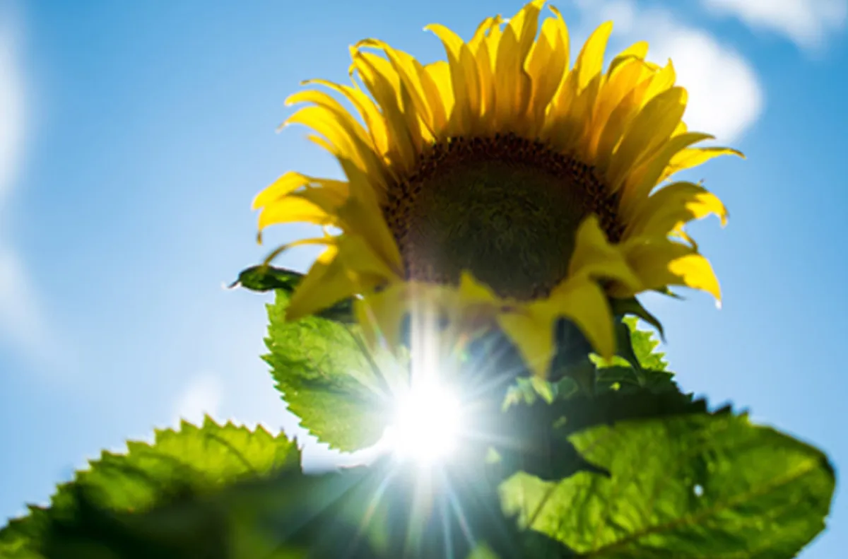 توقعات أحوال الطقس لليوم الجمعة