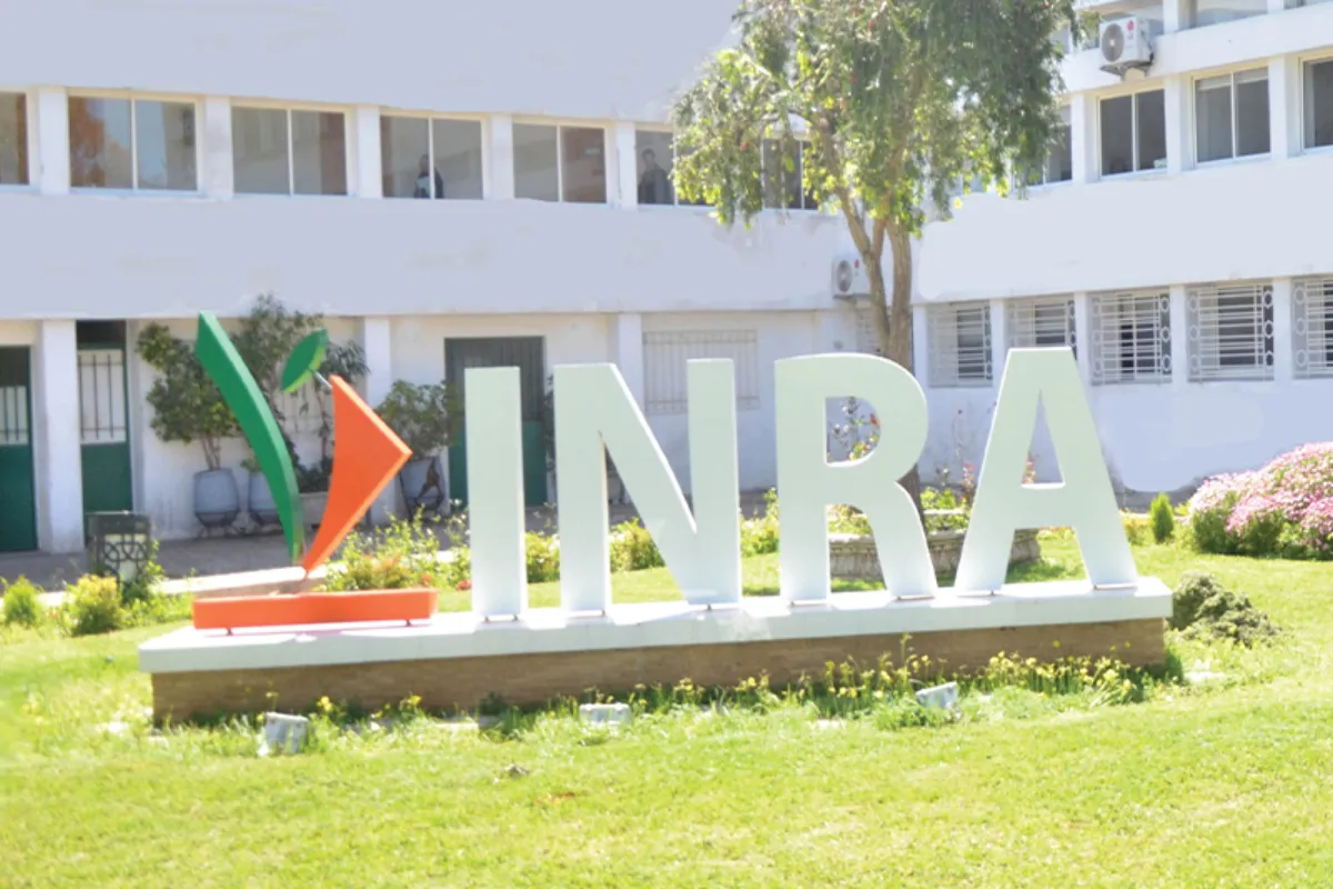 الملتقى الدولي للفلاحة.. المعهد الوطني للبحث الزراعي يبرز آخر الأبحاث في مجال تدبير ندرة المياه بالقطاع