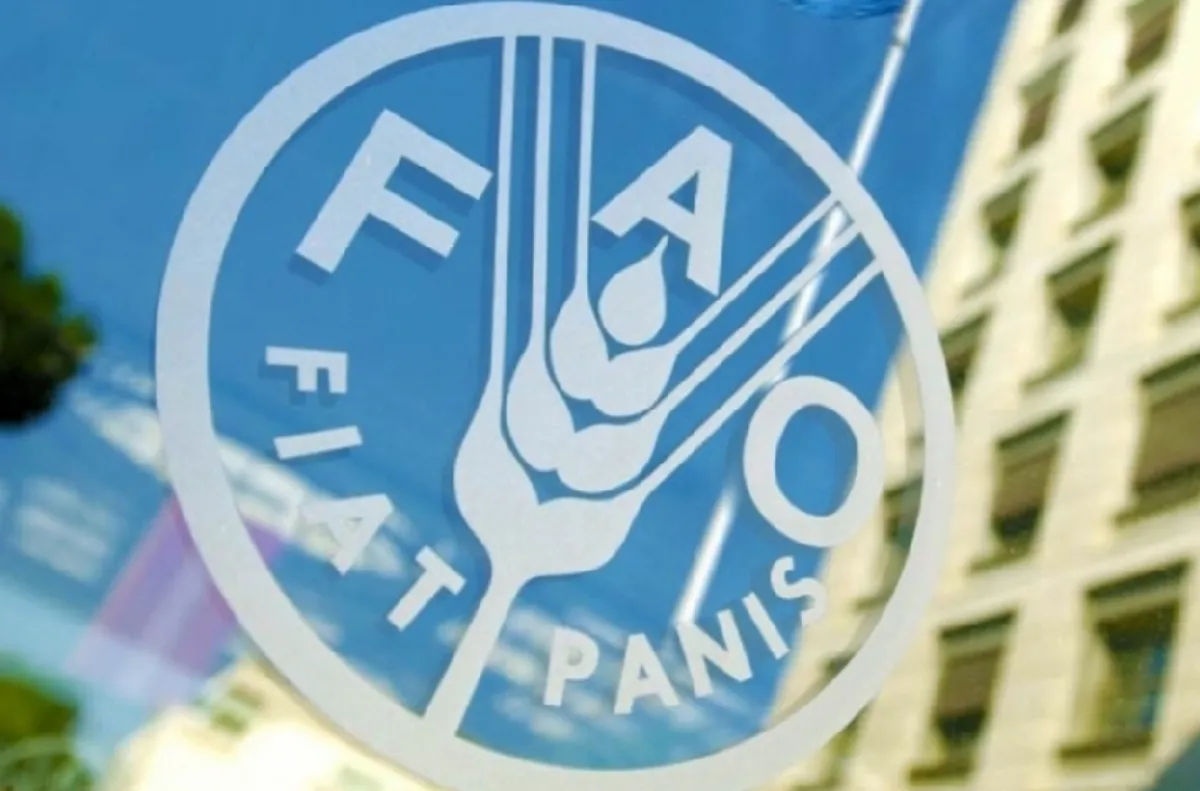 أسعار الغذاء العالمية واصلت الارتفاع في مارس 2026 (الفاو)