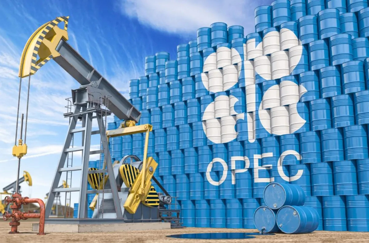 الإمارات تعلن قرار الخروج من "أوبك" و"أوبك +" بداية من 1 ماي المقبل