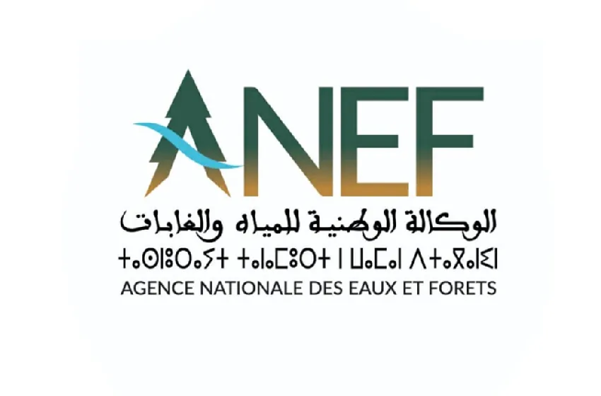 جيتكس إفريقيا المغرب.. الوكالة الوطنية للمياه والغابات تستعرض منجزاتها في مجال تحديث القطاع الغابوي