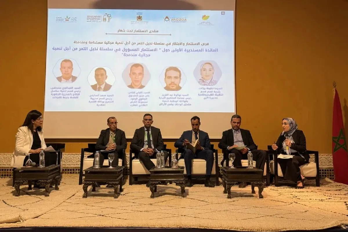 أرفود.. تحفيز الاستثمار والابتكار رافعة أساسية لتطوير سلسلة التمور وتحقيق تنمية واحاتية مندمجة (مسؤول)