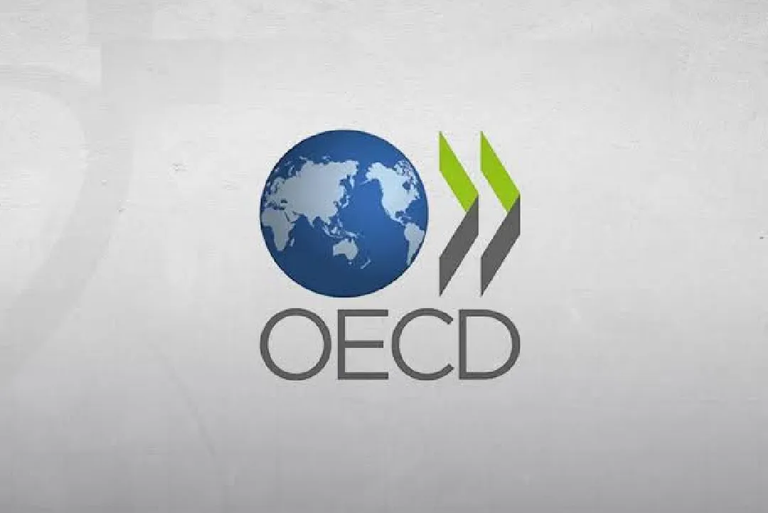 منطقة منظمة التعاون الاقتصادي والتنمية.. تباطؤ نمو الدخل الحقيقي للأسر إلى 0,2 بالمائة خلال الربع الأول من 2026