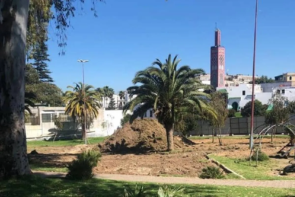 مرصد حماية البيئة والمآثر التاريخية بطنجة يطلق دينامية "طنجة منخفضة الكربون"