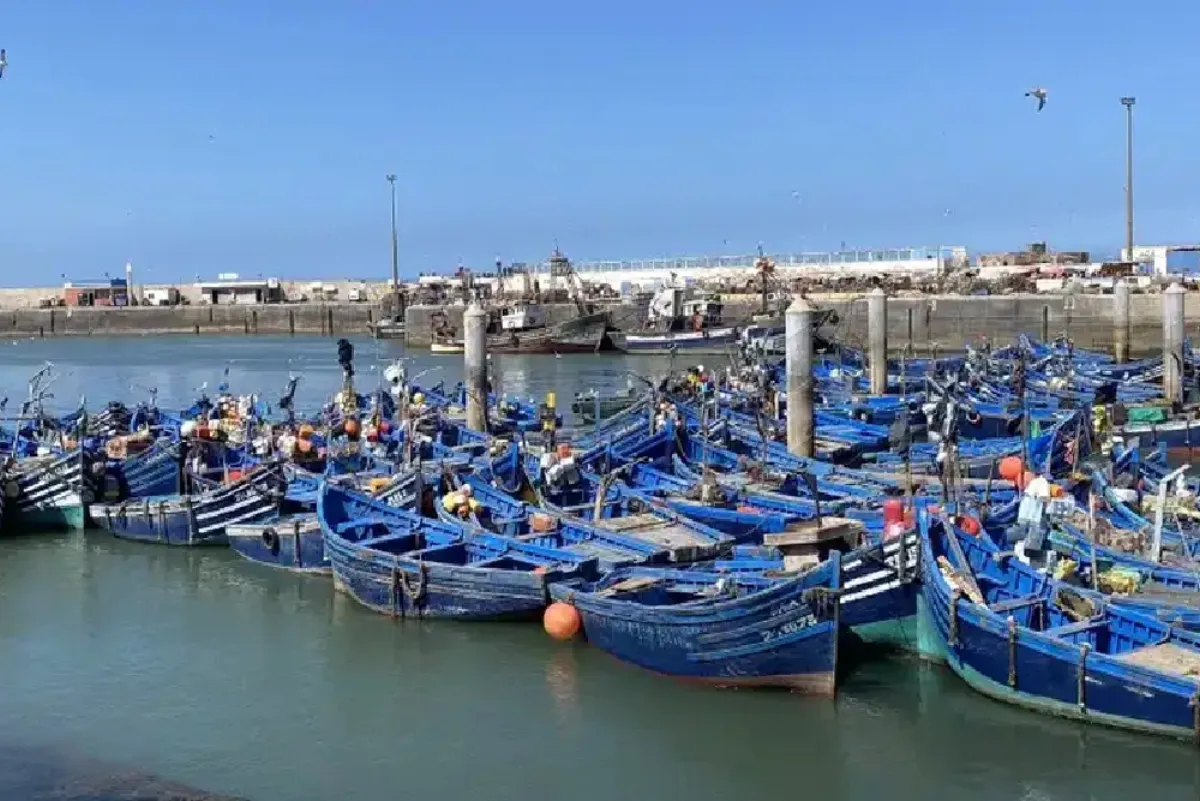 ميناء الداخلة.. انخفاض الكميات المفرغة من منتجات الصيد الساحلي والتقليدي بـ 43 في المائة عند متم شتنبر الماضي (مكتب)