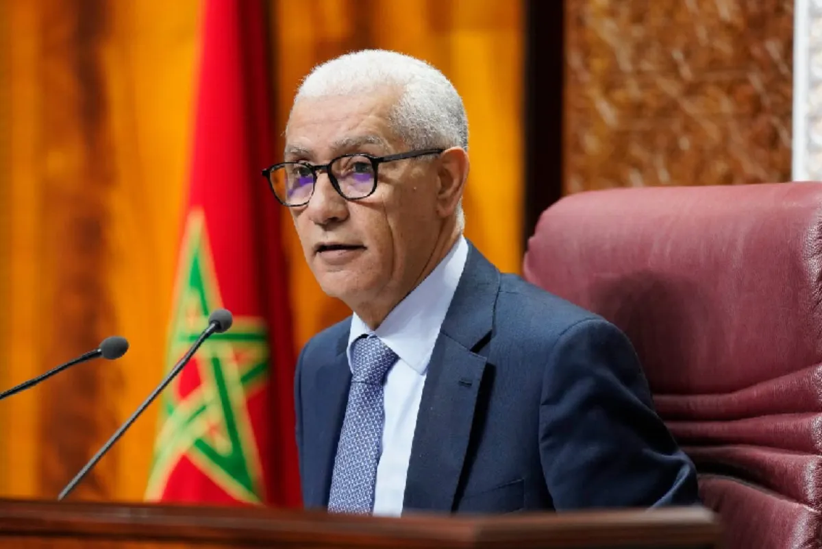 الطالبي العلمي: لا يمكن تصور مستقبل التعاون الأورو-متوسطي والخليجي دون استحضار العمق الإفريقي