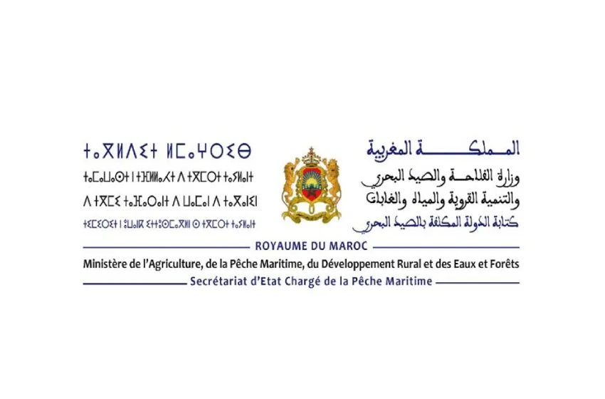 كتابة الدولة المكلفة بالصيد البحري تطلق رقما أخضر لاستقبال شكايات وتظلمات المرتفقين