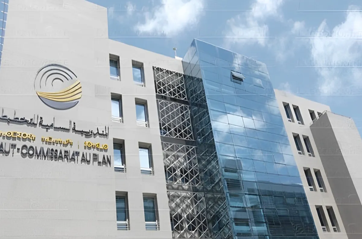 جهة طنجة-تطوان-الحسيمة: معدل نشاط النساء يبلغ 24 في المائة سنة 2025 (المندوبية السامية للتخطيط)