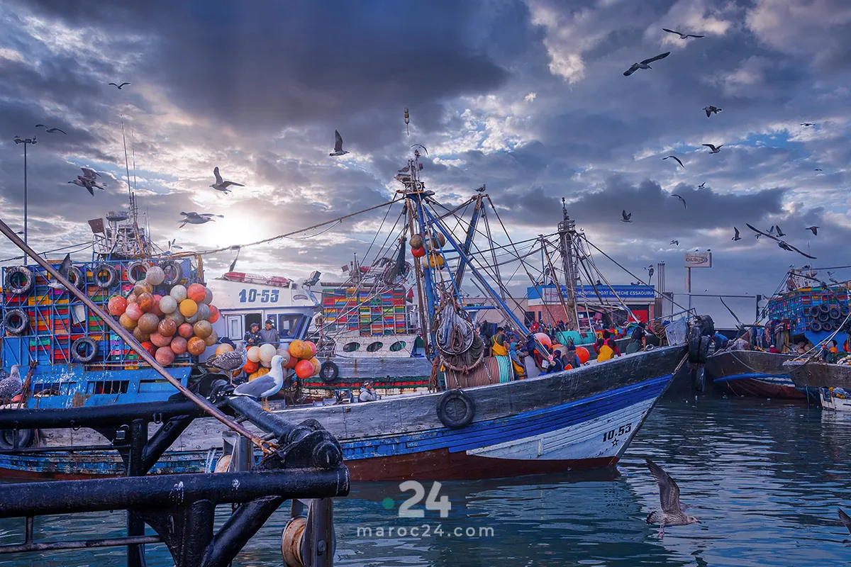 توقعات أحوال الطقس ليوم غد الأربعاء