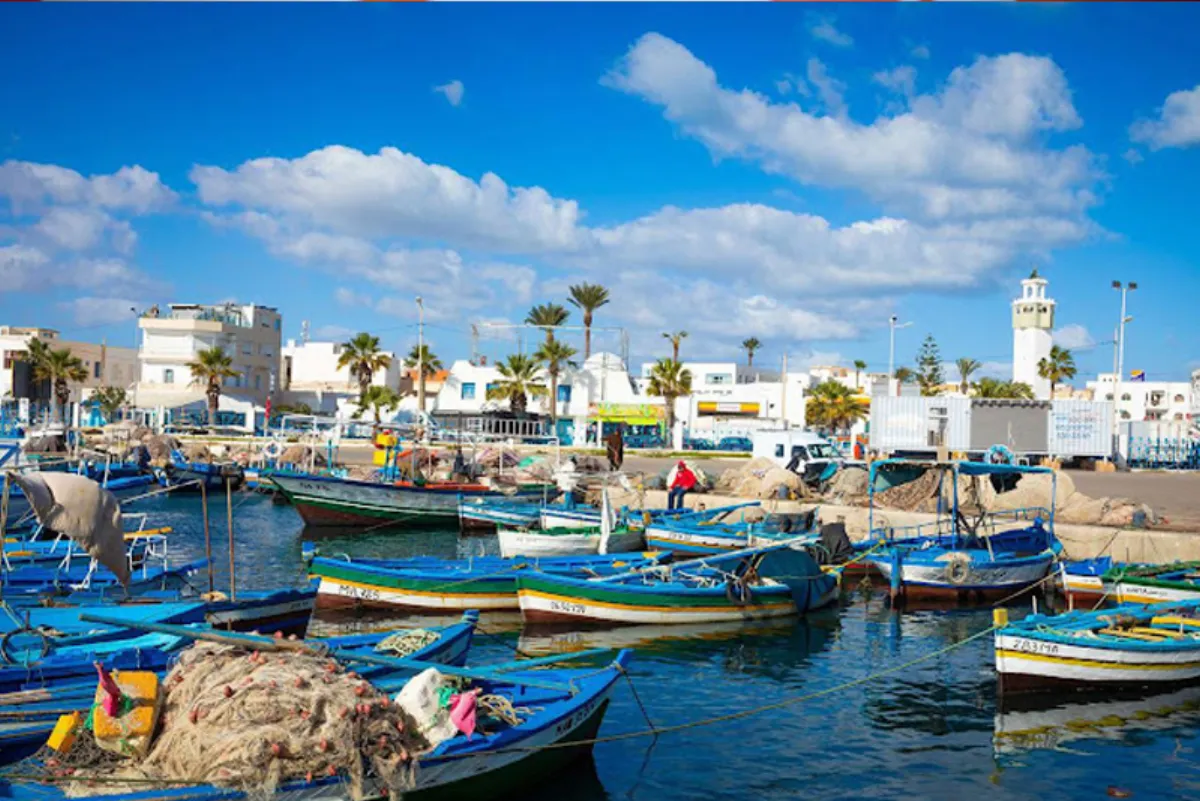 ميناء المهدية.. انخفاض الكميات المفرغة من منتجات الصيد بنسبة 27 في المائة خلال يناير (مكتب)