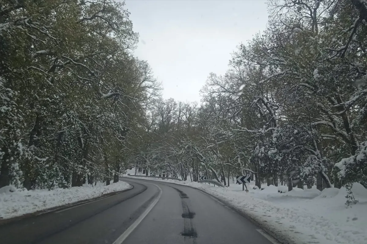 تساقطات ثلجية مرتقبة من الثلاثاء إلى الأربعاء بعدد من مناطق المملكة (نشرة إنذارية)