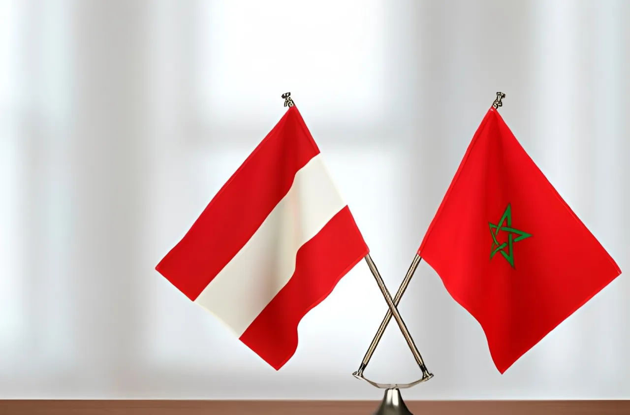 النمسا تشيد بجهود المغرب لتطوير نموذج جديد للتعاون جنوب-جنوب
