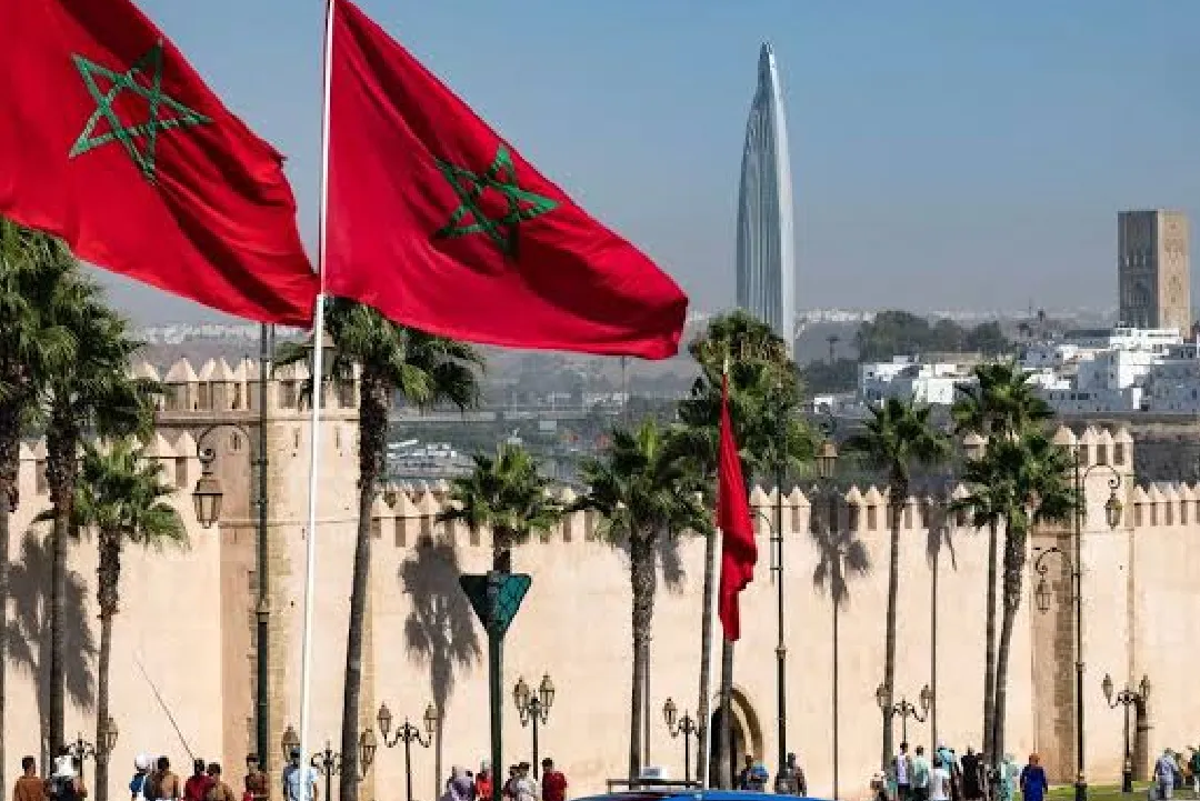 المغرب يضطلع بشكل كامل بدوره في مكافحة الهجرة غير النظامية (خبير أممي)