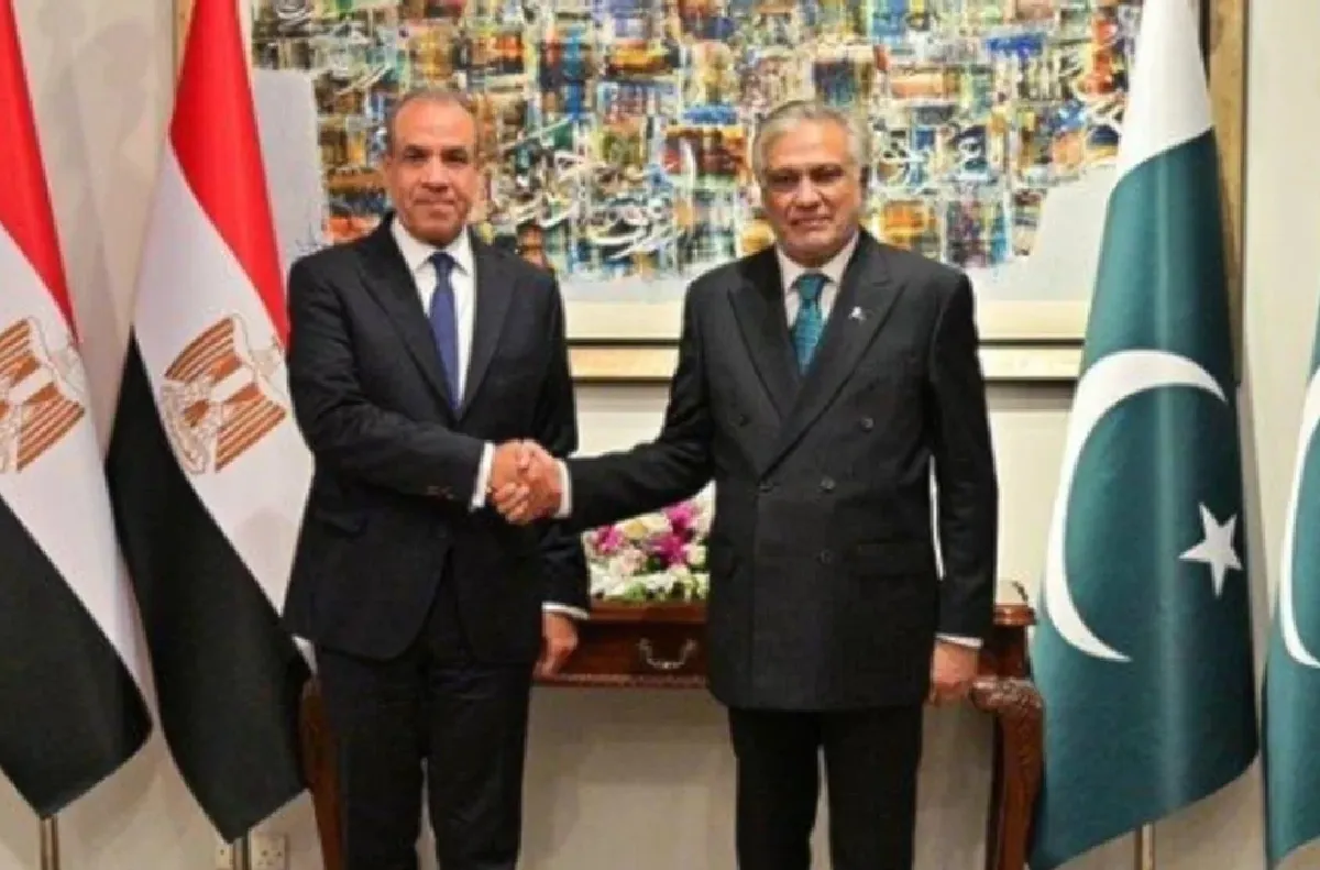 وزير الخارجية المصري ونظيره الباكستاني يبحثان هاتفيا التطورات الإقليمية