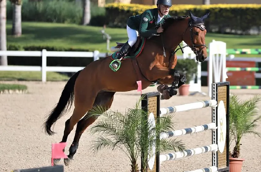 فروسية: نال زروال يمثل المغرب في نهائي بطولة التحدي العالمي للقفز على الحواجز 2026