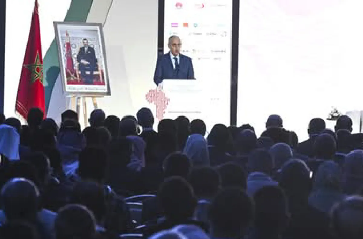 تأمين نظم المعلومات وتعزيز قدرتها على الصمود لم يعد أمرا اختياريا بل ضرورة تفرضها التحولات الرقمية (السيد لوديي)