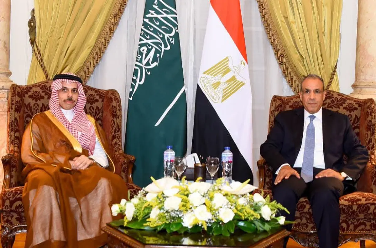 وزير الخارجية المصري يبحث مع نظيره السعودي تطورات الأوضاع الإقليمية