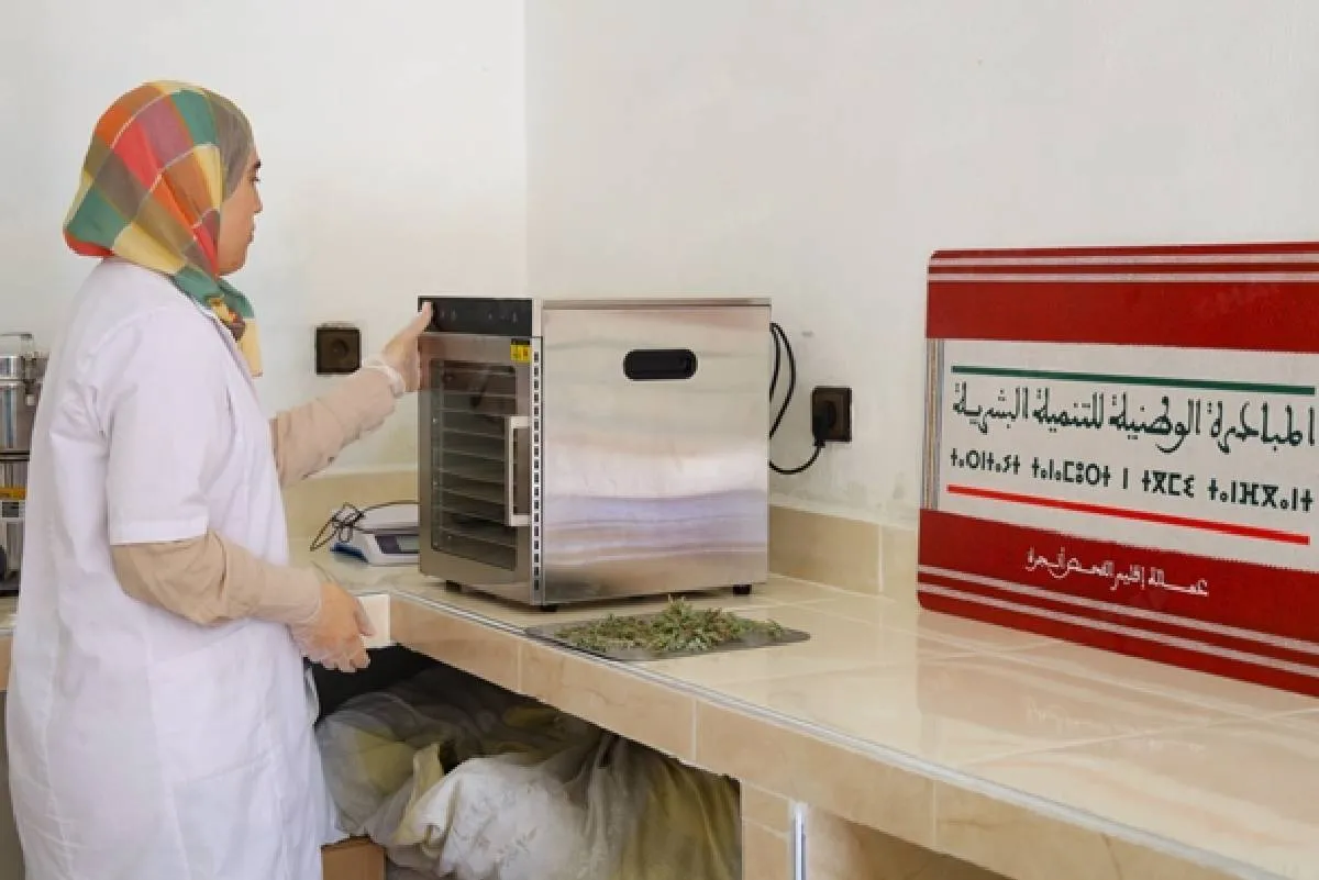 الفحص أنجرة .. إبراز دور التعاونيات في تعزيز الاقتصاد الاجتماعي والتضامني