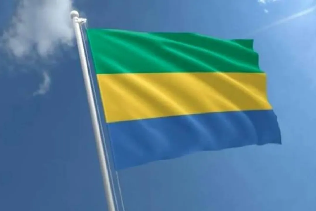 الغابون وغامبيا الغابون وغامبيا تعززان تعاونهما الثنائي