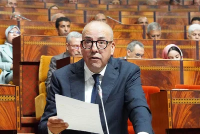 التساقطات الأخيرة تحسن آفاق الإنتاج الفلاحي (البواري)