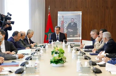 إعادة التوازن لسلاسل الإنتاج محور اجتماعات السيد أخنوش مع مهنيي القطاع الفلاحي