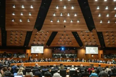 الأمن الغذائي.. المغرب معبأ بالكامل لدعم البلدان النامية (دبلوماسي)