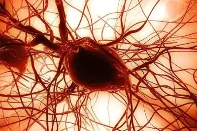 إعادة برمجة خلايا الدم إلى خلايا جذعية مستحثة متعددة القدرات يفتح آفاقا واسعة في مجال العلاج الشخصي والبحث العلمي (صابر بوطيب)