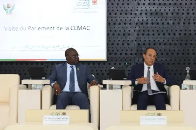 اتحاد المجالس الاقتصادية والاجتماعية والمؤسسات المماثلة بإفريقيا وبرلمان المجموعة الاقتصادية والنقدية لوسط إفريقيا يعززان إطار تعاونهما
