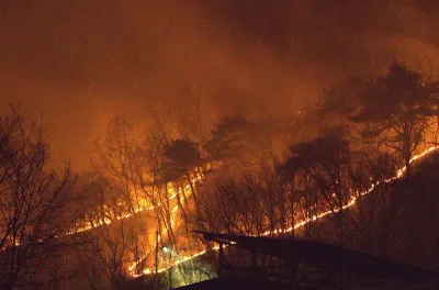 تركيا.. حرائق الغابات تواصل زحفها نحو بورصة وسط موجة حر غير مسبوقة