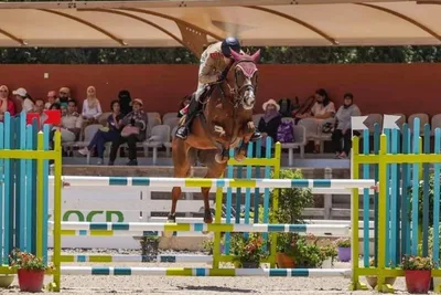 أسبوع الفرس 2024: الرقيب أول إبراهيم شنان يفوز ببطولة المغرب لترويض الخيول فئة ج