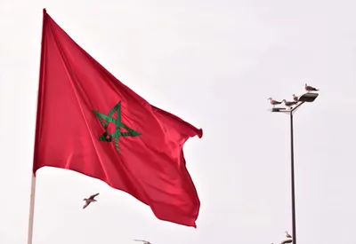 الأمم المتحدة: المغرب يتولى الرئاسة المشتركة لمجموعة الأصدقاء المعنية بالمسؤولية عن الحماية