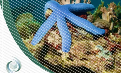 الإيسيسكو تصدر كتاب حول أحمد بابا التمبكتي ودوره في الدبلوماسية الحضارية