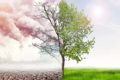 دورة فصول السنة ودوامة التغيرات المناخية