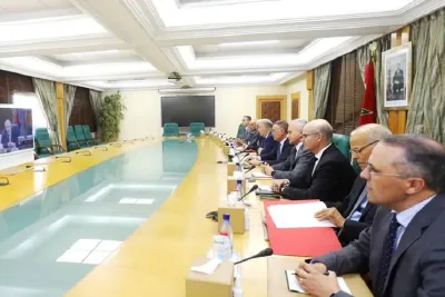الرباط .. اجتماع حول عملية إعادة تكوين القطيع الوطني للماشية