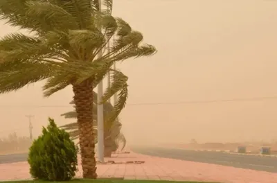 نشرة إنذارية: موجة حر وهبات رياح مع تطاير للغبار ما بين غد الاثنين والجمعة المقبل بعدد من مناطق المملكة