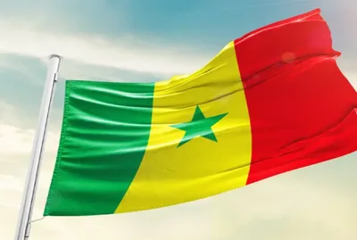 السنغال.. تسجيل حالة إصابة مؤكدة بجدري القردة بدكار