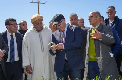 فاس مكناس.. السيد البواري يقوم بزيارة ميدانية إلى عمالة مكناس وإقليم الحاجب لتتبع تقدم الموسم الفلاحي وتأثير التساقطات المطرية الأخيرة