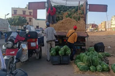 القصر الكبير.. سوق الجملة للخضر والفواكه يستعيد نشاطه بالكامل بعد تحسن الأحوال الجوية