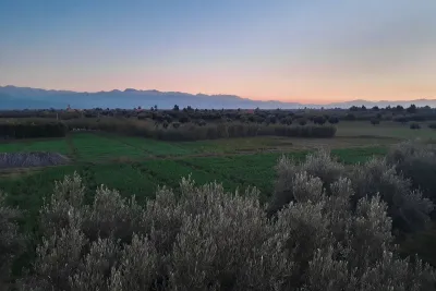 القطاع الفلاحي بالمغرب يتوقع نمو بنسبة 3 في المائة