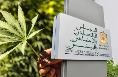 استعراض التجربة المغربية في تقنين القنب الهندي في الدورة الـ150 للمجلس الاقتصادي والاجتماعي والبيئي