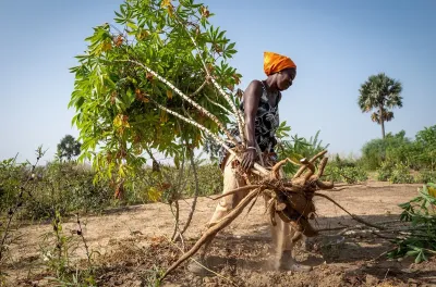المؤتمر الوزاري الإفريقي حول البيئة: إفريقيا يمكن أن تتشكل "أرضا" للحلول المبتكرة في مكافحة التصحر والجفاف