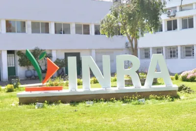 طنجة : مدير المركز الجهوي للبحث الزراعي يؤكد انخراط المركز في دعم تطوير الابتكار الزراعي