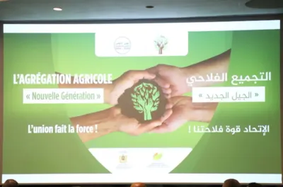 بركان: إطلاق قافلة "الجيل الجديد" لتعزيز ريادة الأعمال في الخدمات الفلاحية وشبه الفلاحية بجهة الشرق