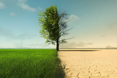 المركز المغربي للظرفية يصدر عددا خاصا حول تغير المناخ