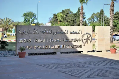 المعهد الملكي للثقافة الأمازيغية يحتفي باليوم العالمي للموسيقى