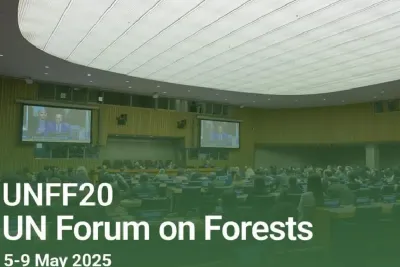 نيويورك .. المغرب يترأس الدورة العشرين لمنتدى الأمم المتحدة المعني بالغابات