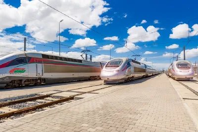 أشغال إنجاز الخط فائق السرعة القنيطرة - مراكش ستتم في الآجال المحددة (مدير بالمكتب الوطني للسكك الحديدية)