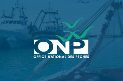 ميناء العرائش : ارتفاع طفيف في كمية مفرغات الصيد البحري خلال سنة 2024 (تقرير)