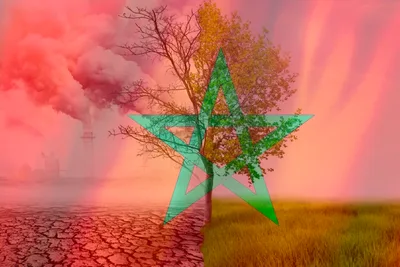 المغرب ينهج سياسة دينامية لمواجهة ندرة الموارد المائية بسبب تأثير تغير المناخ