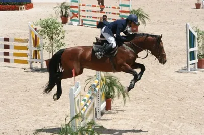 الدوري الملكي المغربي للقفز على الحواجز: المنتخب البلجيكي يفوز بلقب كأس الأمم 2023